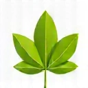 Pure Natural Ingredients Icon