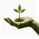 Sustainable Practices Icon